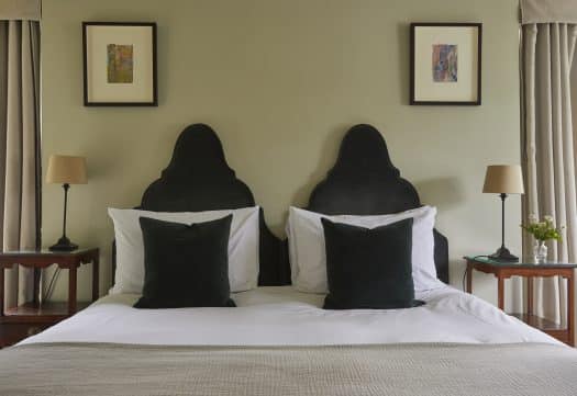 Dog friendly room